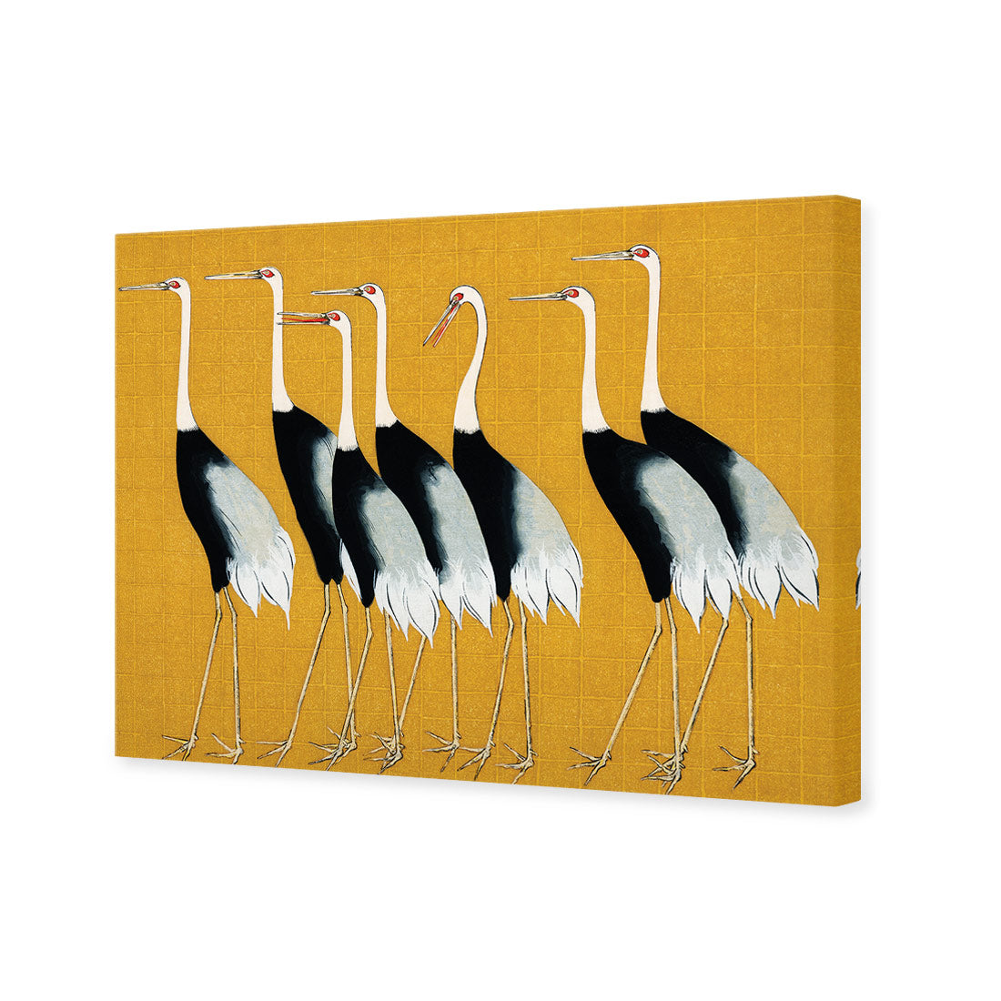 Japanese Red Crowned Cranes