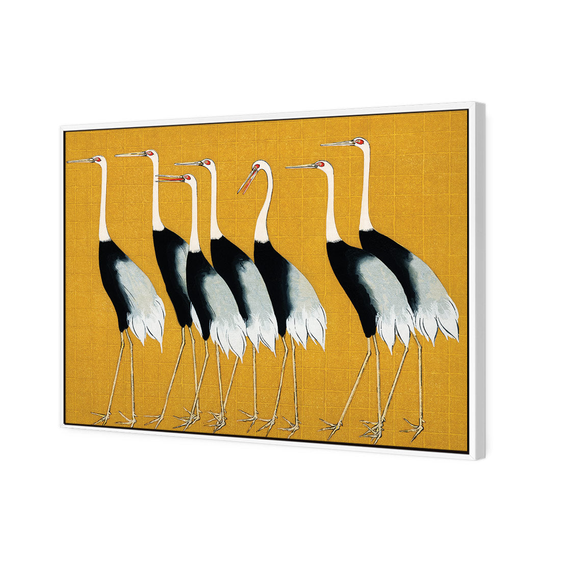 Japanese Red Crowned Cranes