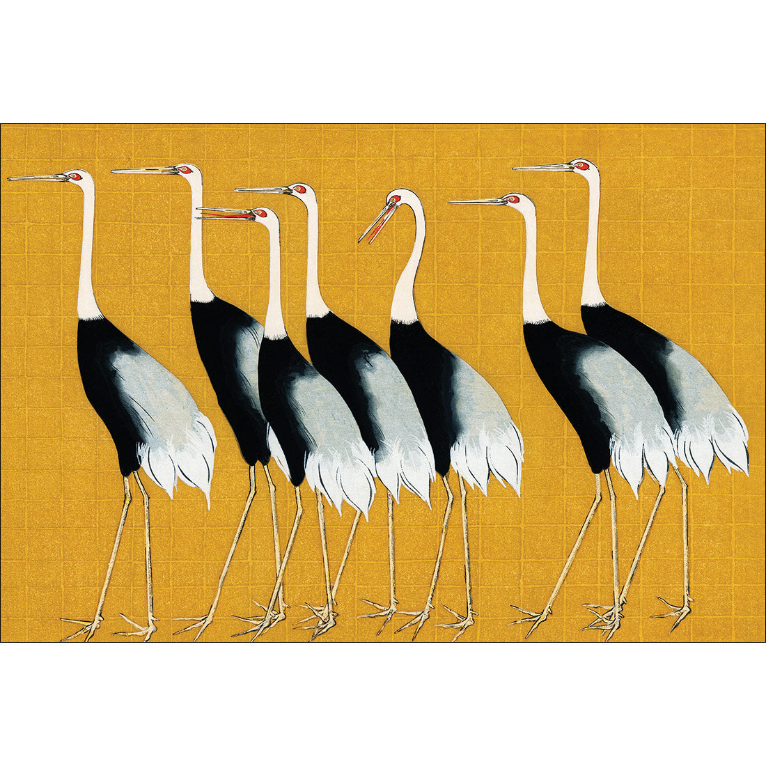 Japanese Red Crowned Cranes