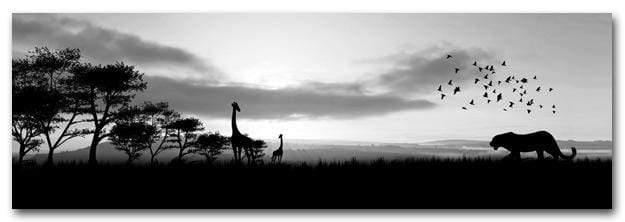 Danger Leopard Approaching, Black and White (long)