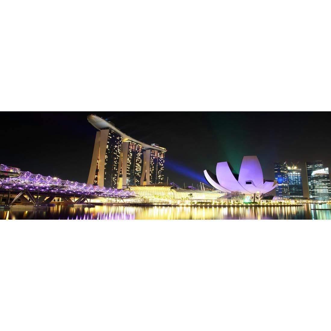 Double Helix Bridge Singapore (long)