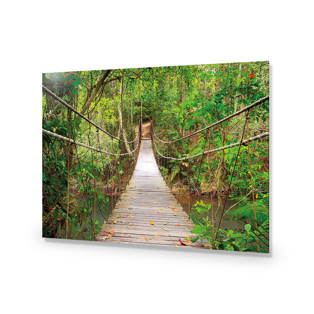 Thai Suspension Bridge