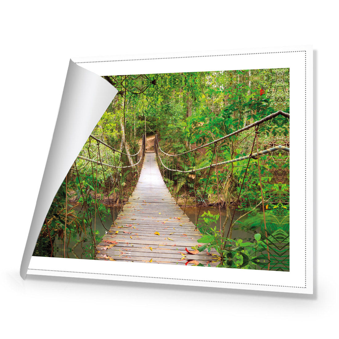 Thai Suspension Bridge