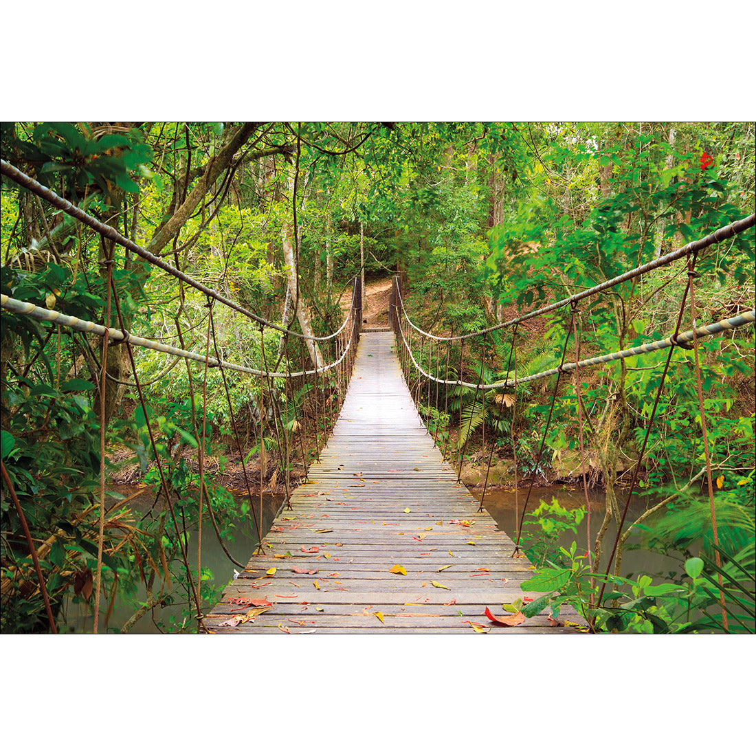 Thai Suspension Bridge