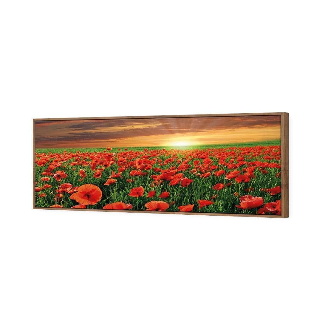 Anzac Poppy Field (long)