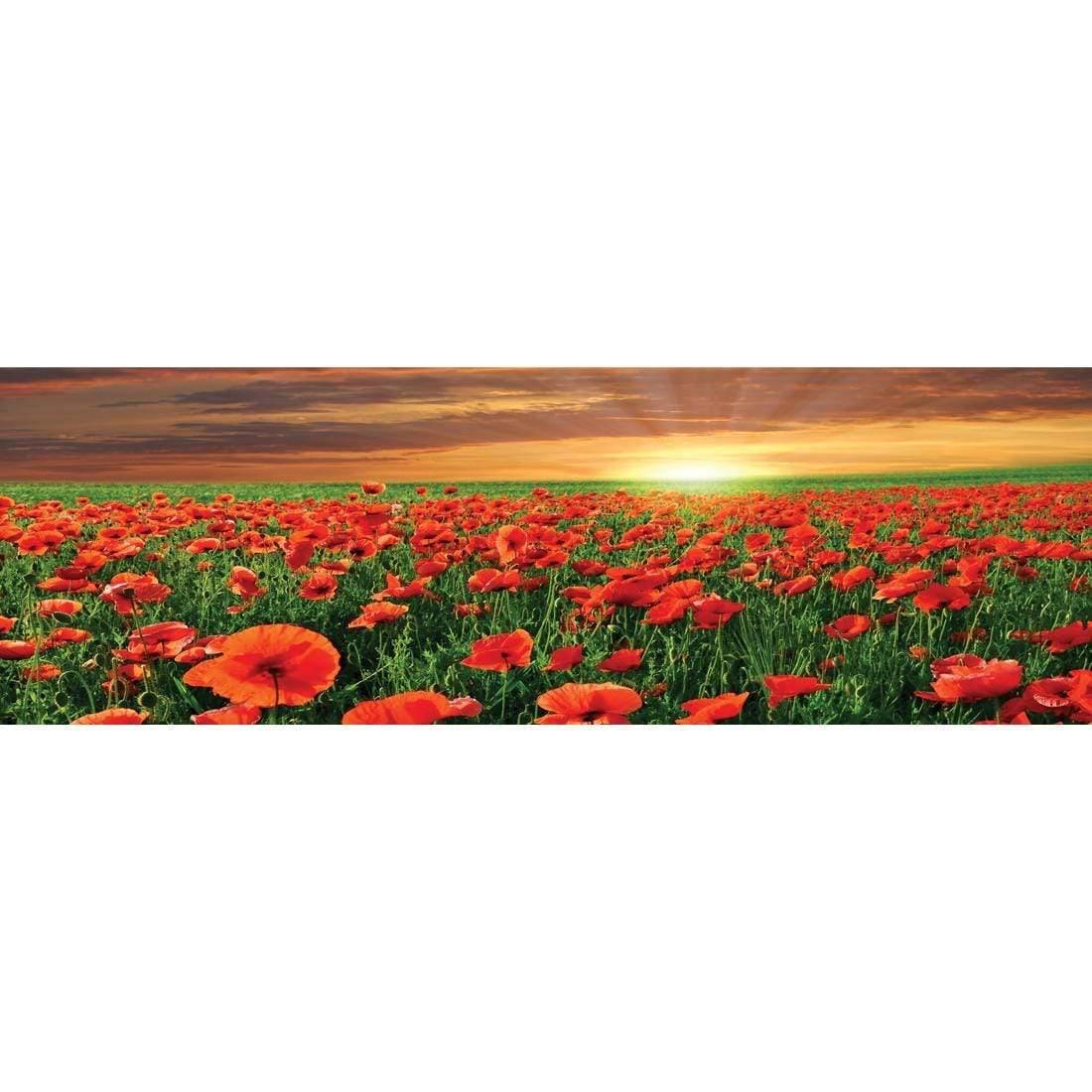 Anzac Poppy Field (long)