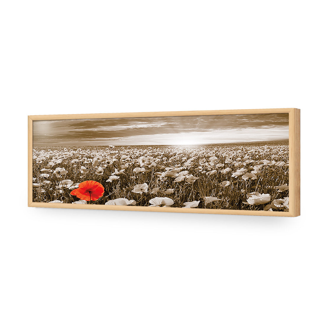 Anzac Poppy Field, Sepia (long)