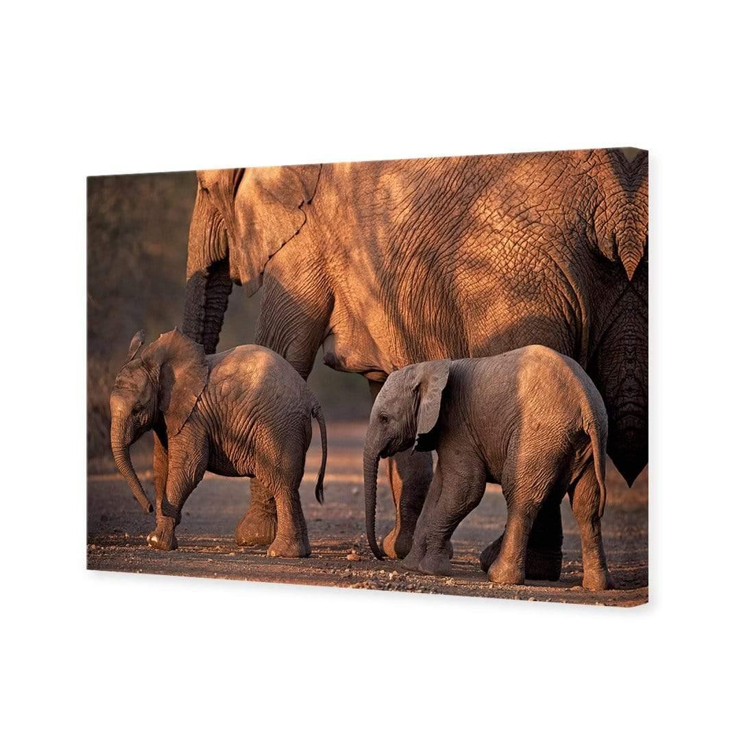 African Elephants Crossing Road