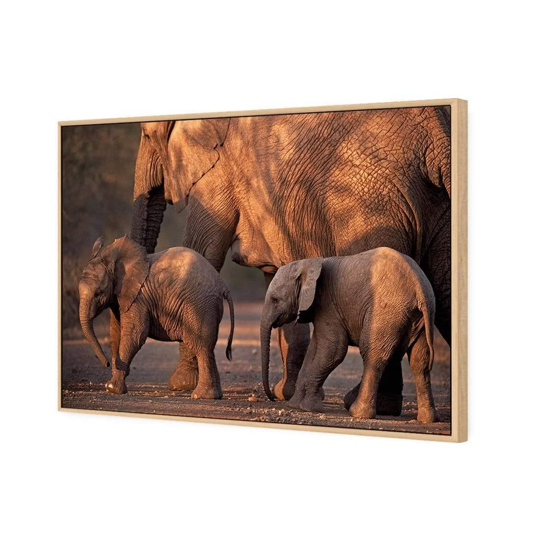 African Elephants Crossing Road