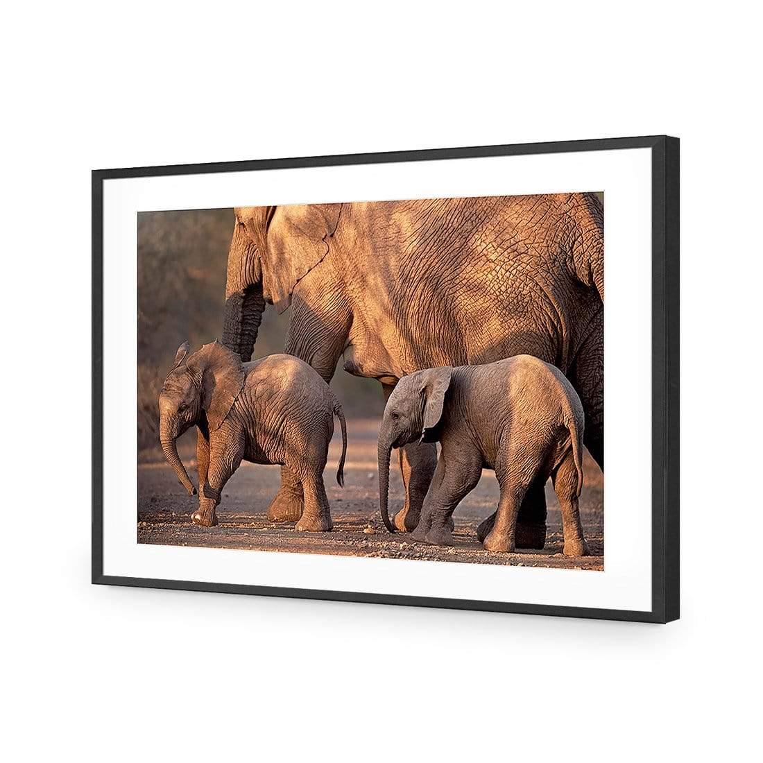 African Elephants Crossing Road