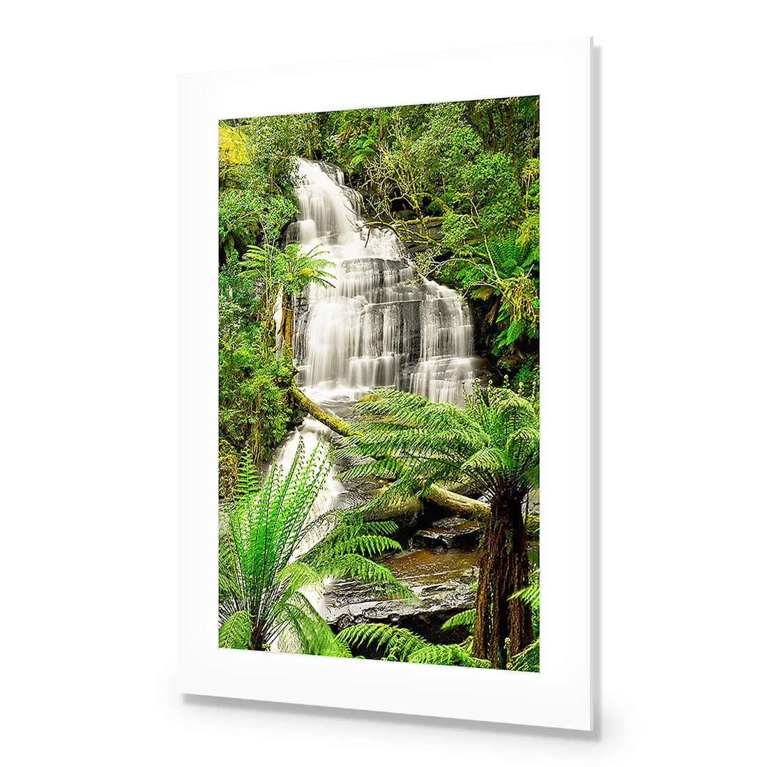 Triplet Falls Otway