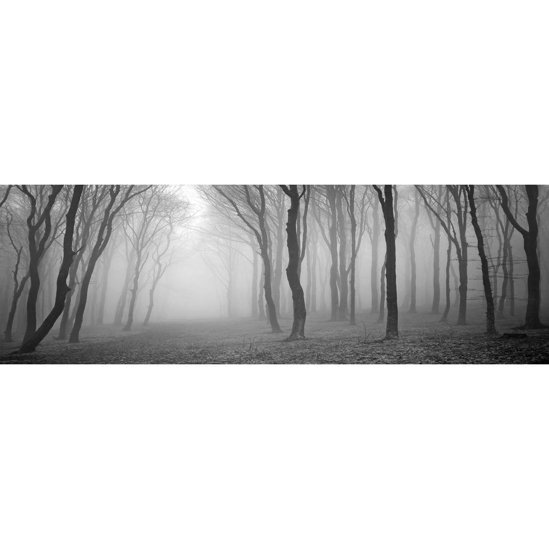 Mysterious Trees, Black and White (long)