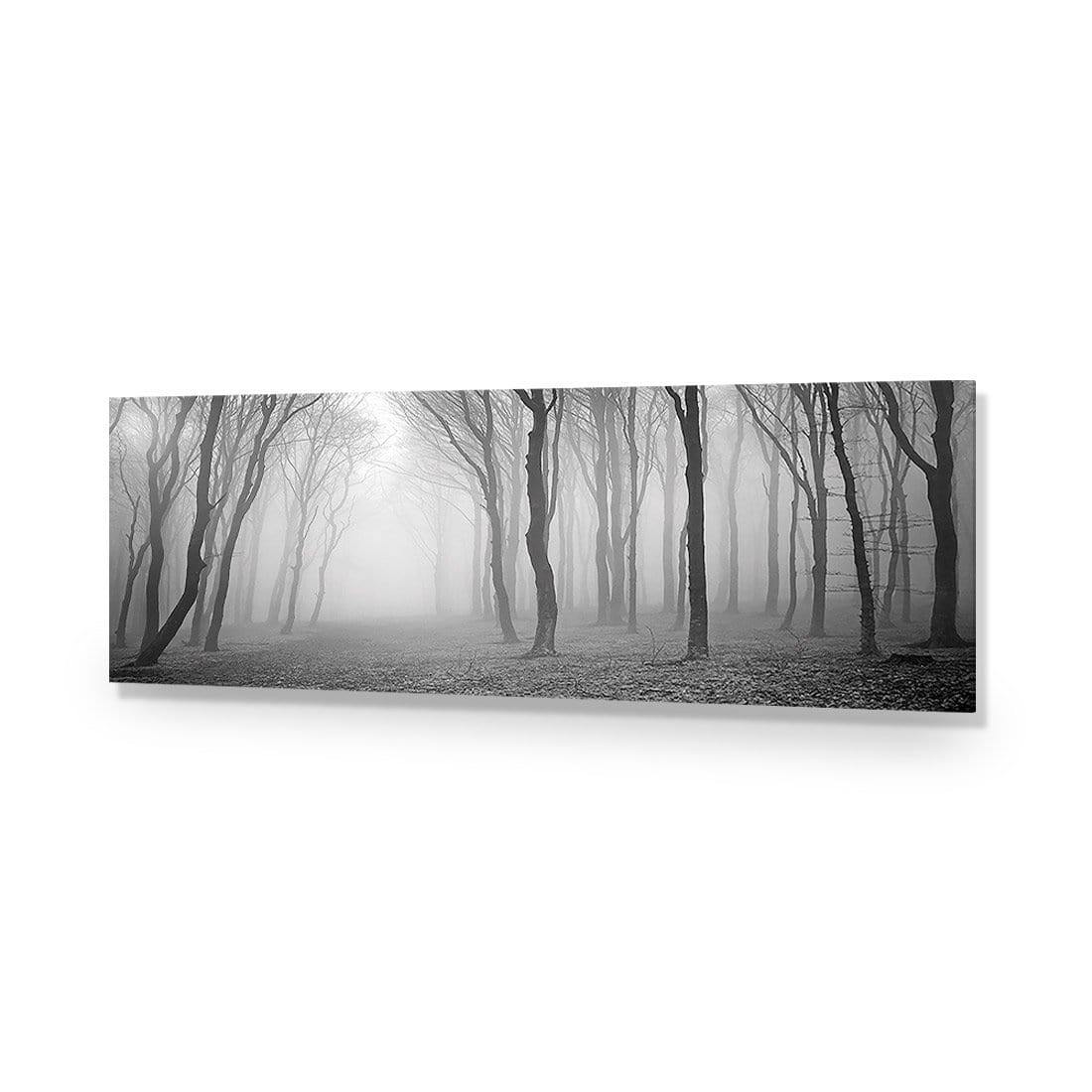 Mysterious Trees, Black and White (long)