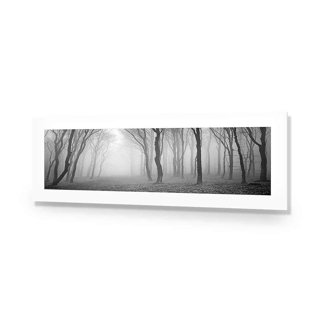 Mysterious Trees, Black and White (long)