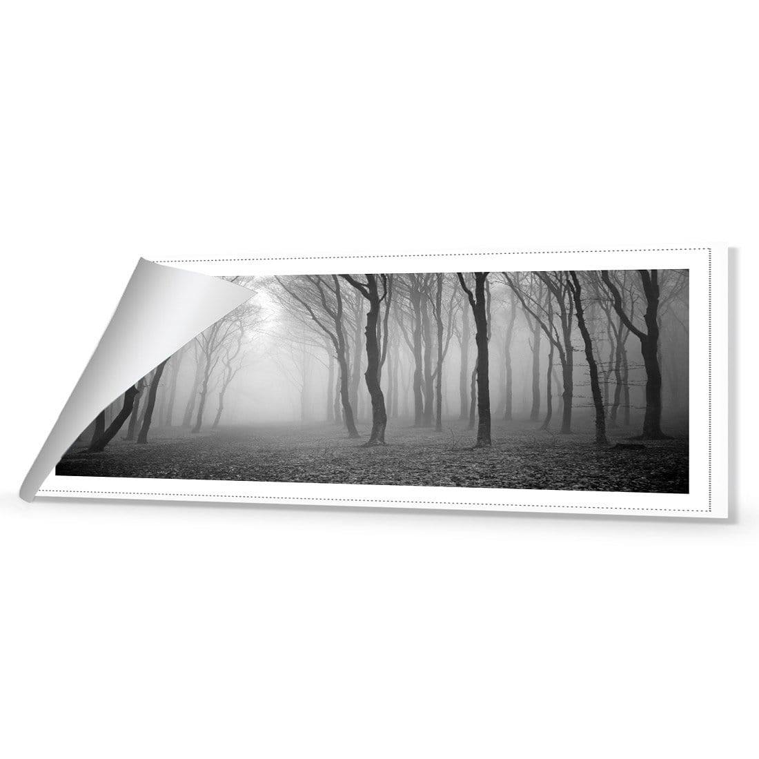 Mysterious Trees, Black and White (long)