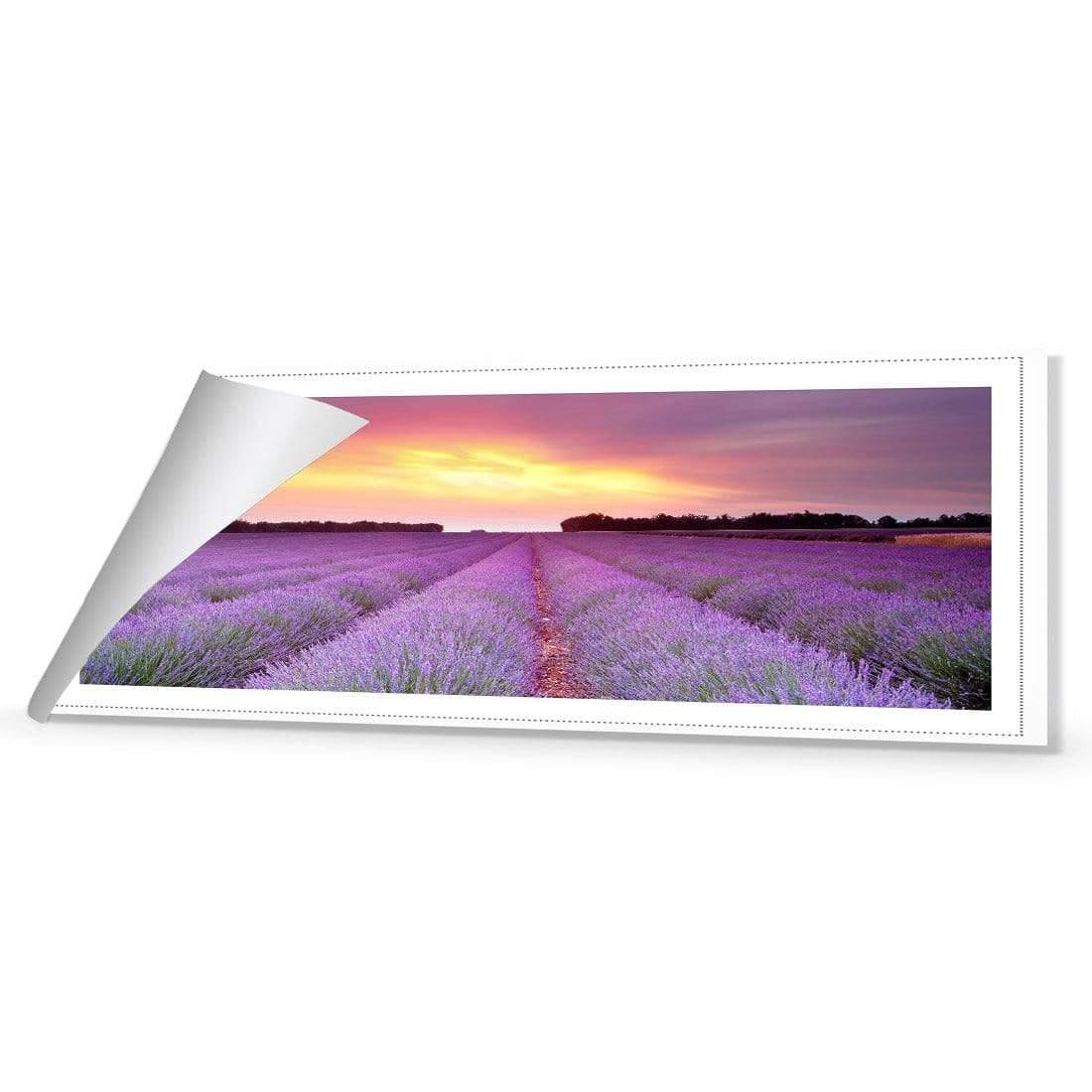 Lavender Sunset (long)