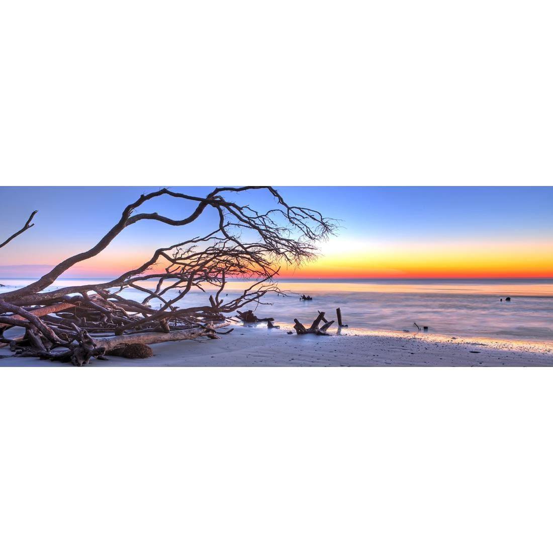 Driftwood Sunrise (Long)