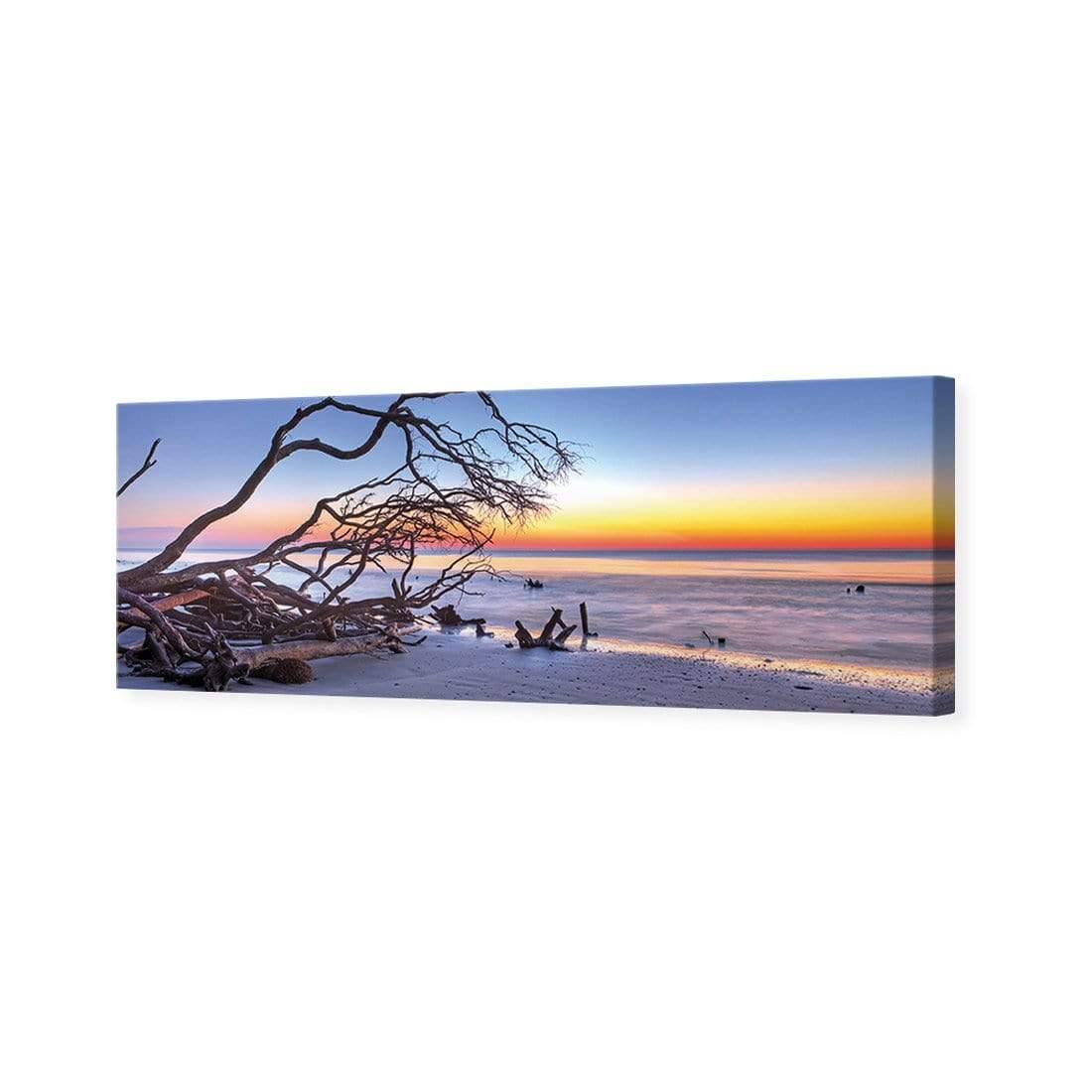 Driftwood Sunrise (Long)