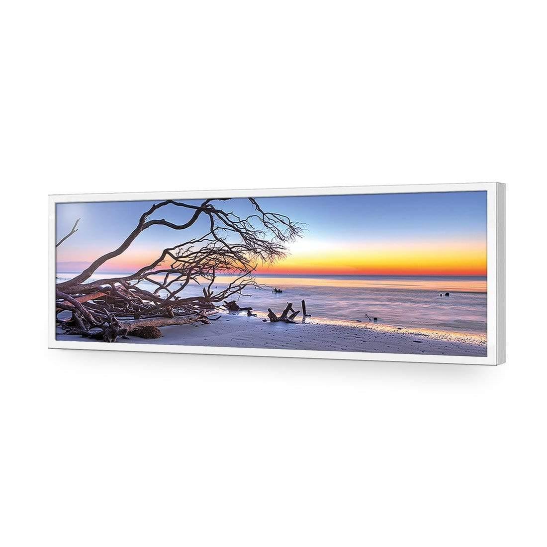 Driftwood Sunrise (Long)