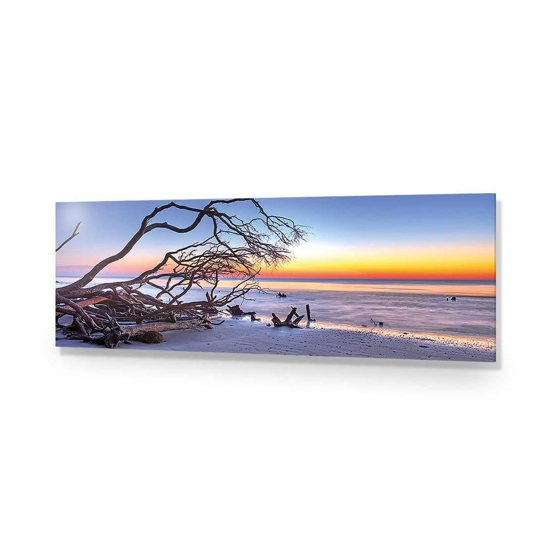 Driftwood Sunrise (Long)