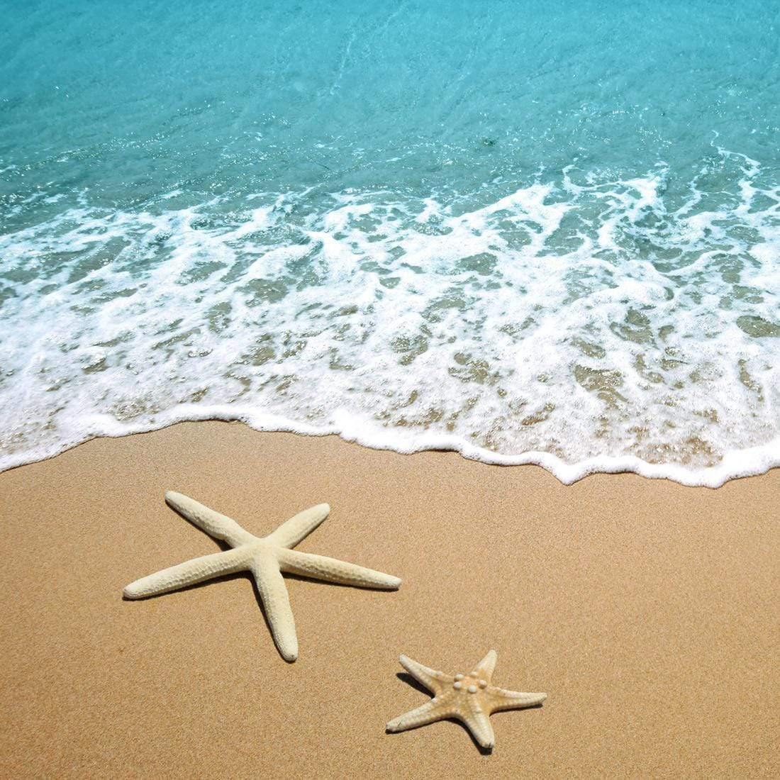 Starfish Beach (square)