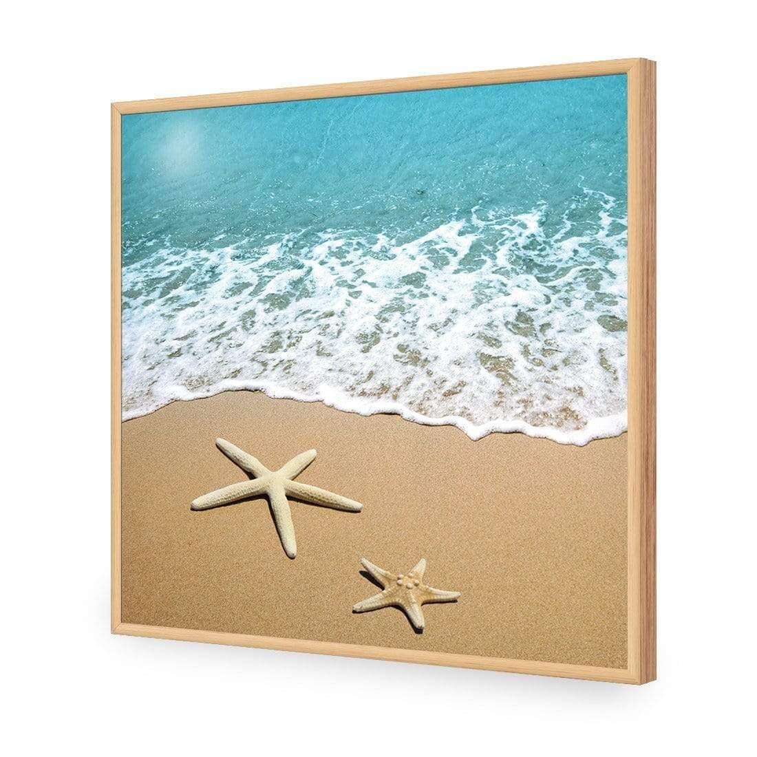 Starfish Beach (square)