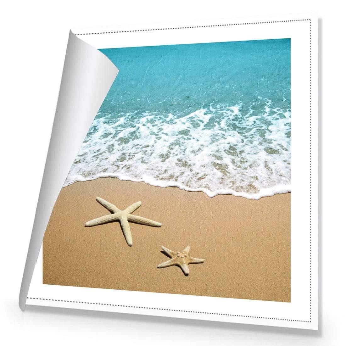 Starfish Beach (square)