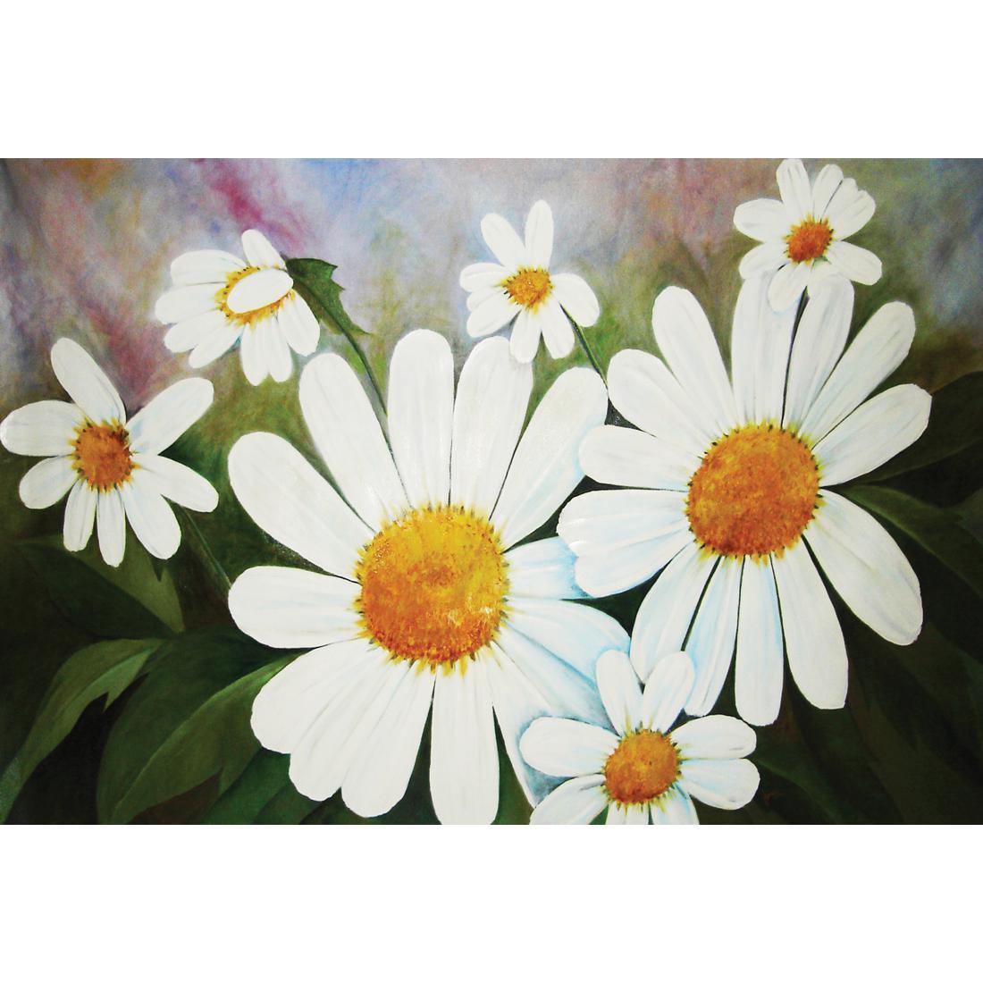 Daisies