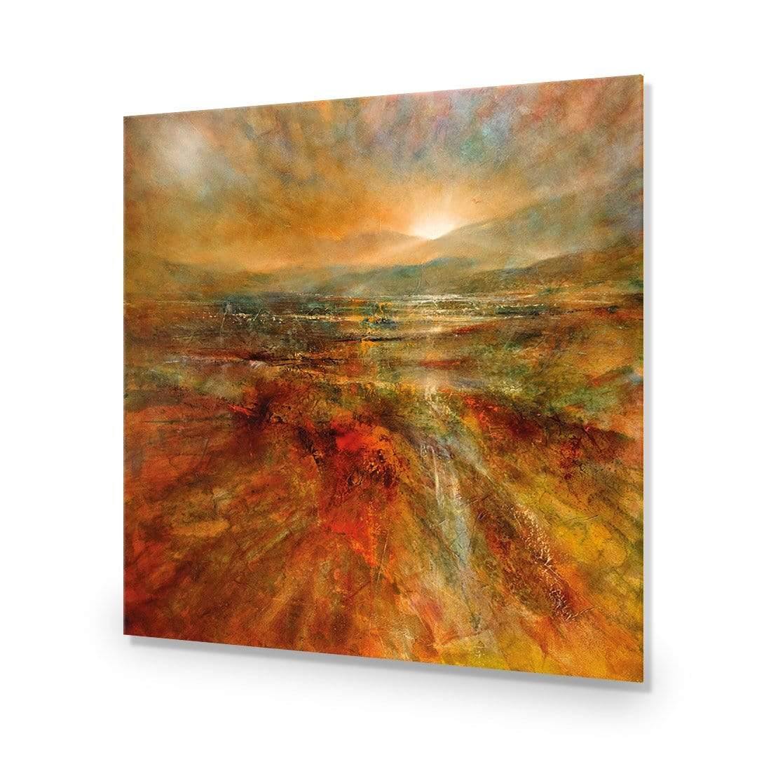 First Light by Annette Schmucker