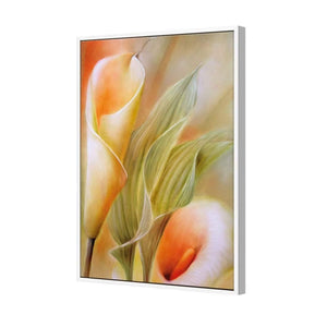 Calla by Annette Schmucker | Classic Canvas | Floating Frame | White