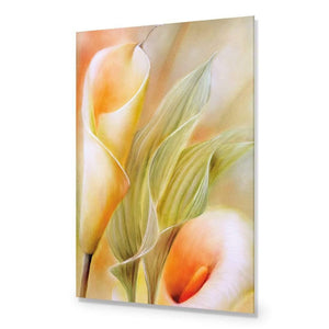 Calla by Annette Schmucker | Classic Acrylic | No Frame No Border