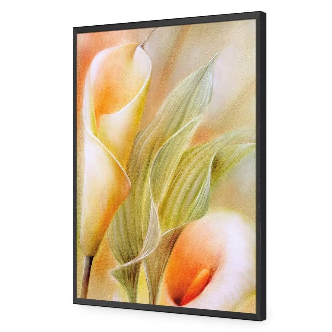 Calla by Annette Schmucker | Classic Acrylic | Flat Frame No Border | Black