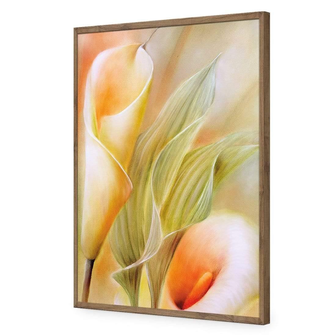 Calla by Annette Schmucker | Classic Acrylic | Flat Frame No Border | Natural