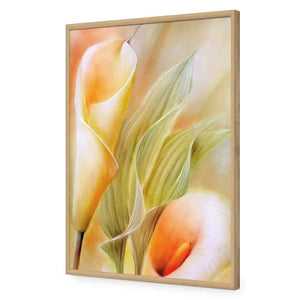 Calla by Annette Schmucker | Classic Acrylic | Flat Frame No Border | Oak