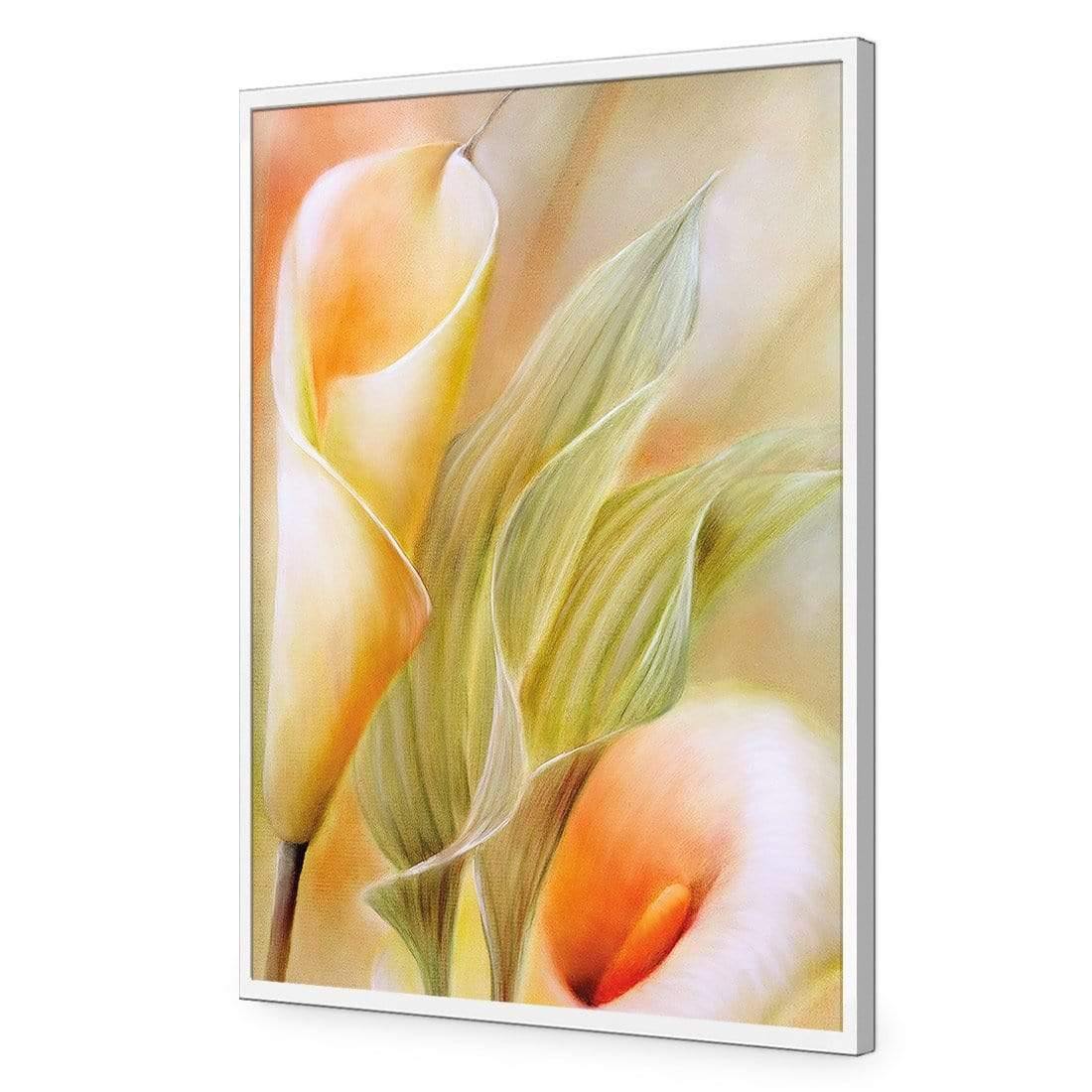 Calla by Annette Schmucker | Classic Acrylic | Flat Frame No Border | White