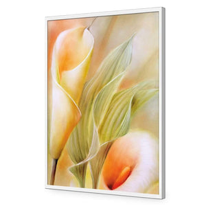 Calla by Annette Schmucker | Classic Acrylic | Flat Frame No Border | White