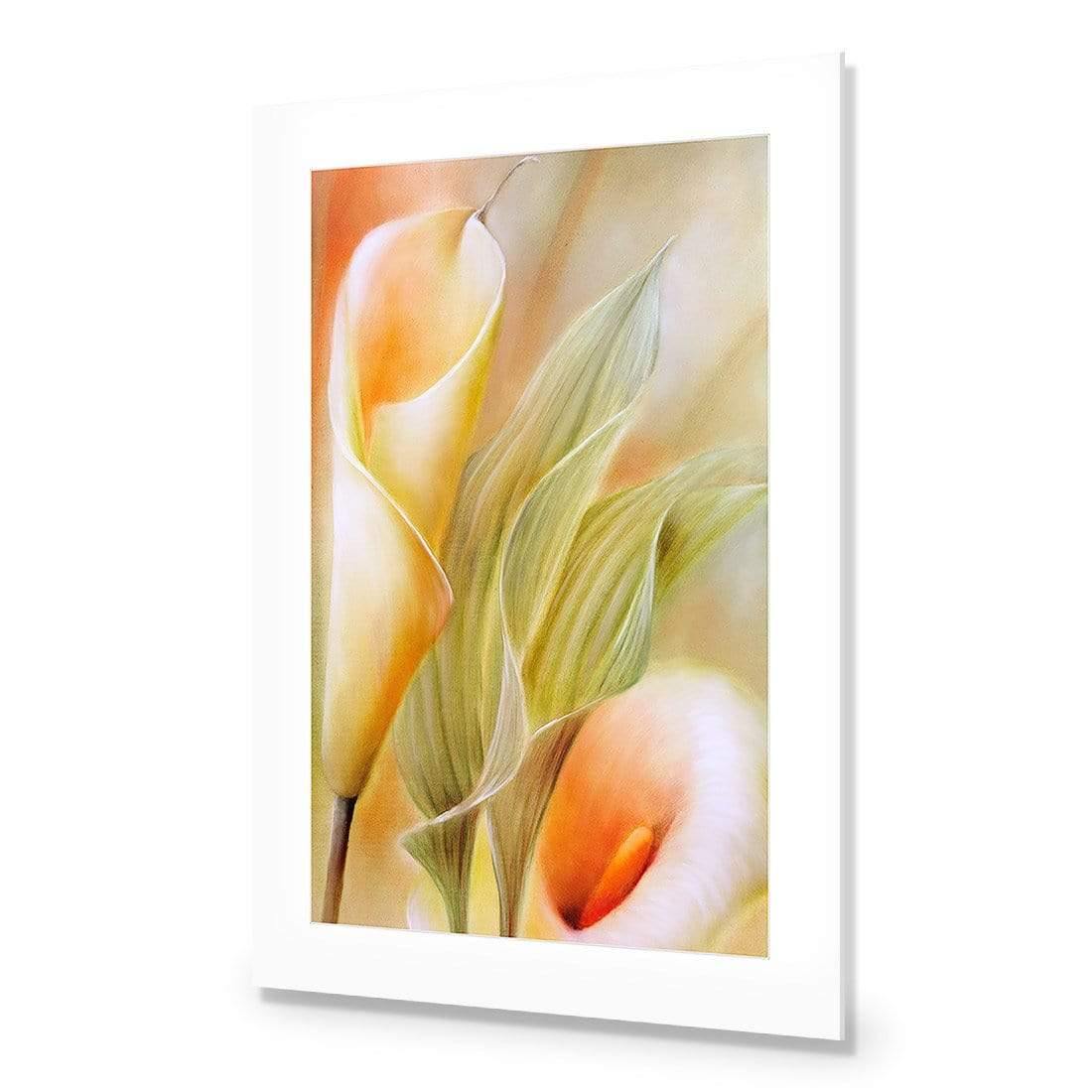 Calla by Annette Schmucker | Classic Acrylic | No Frame With Border