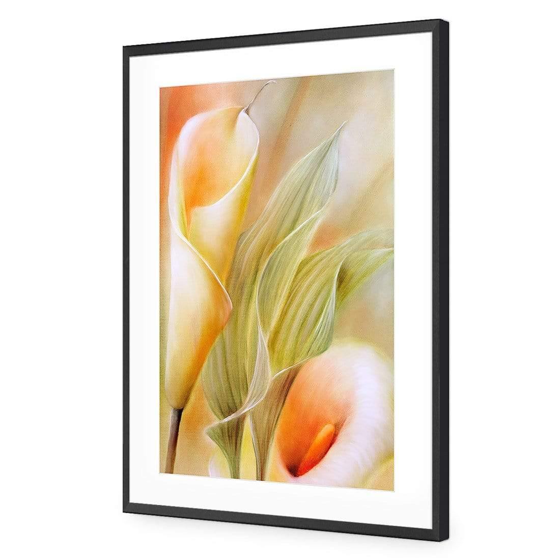 Calla by Annette Schmucker | Classic Acrylic | Flat Frame With Border | Black