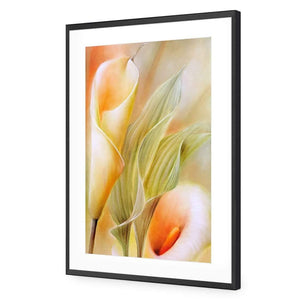 Calla by Annette Schmucker | Classic Acrylic | Flat Frame With Border | Black