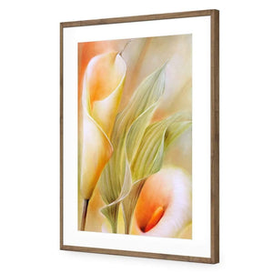 Calla by Annette Schmucker | Classic Acrylic | Flat Frame With Border | Natural