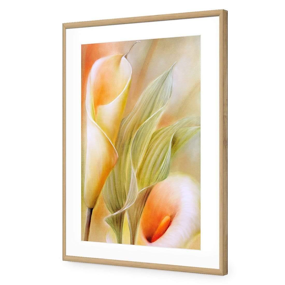 Calla by Annette Schmucker | Classic Acrylic | Flat Frame With Border | Oak