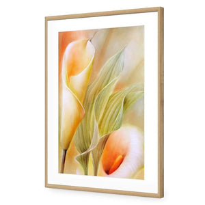 Calla by Annette Schmucker | Classic Acrylic | Flat Frame With Border | Oak