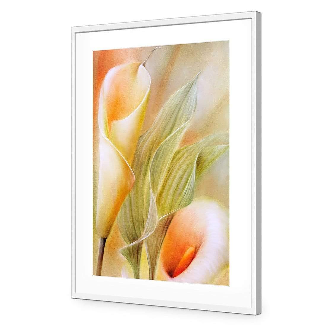 Calla by Annette Schmucker | Classic Acrylic | Flat Frame With Border | White