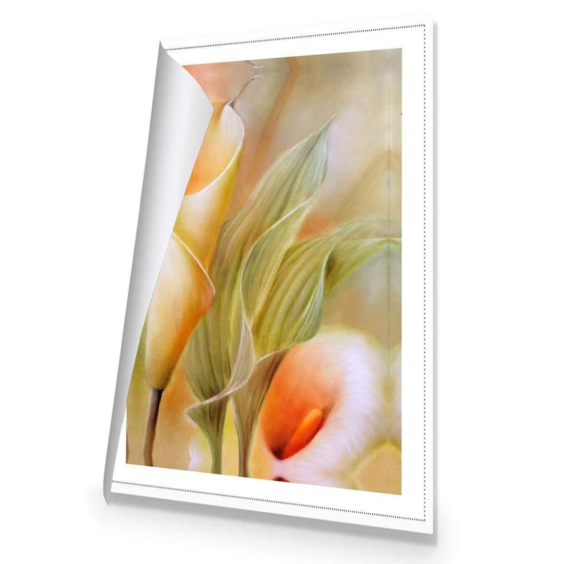 Calla by Annette Schmucker | Classic Canvas | No Frame | Rolled Canvas