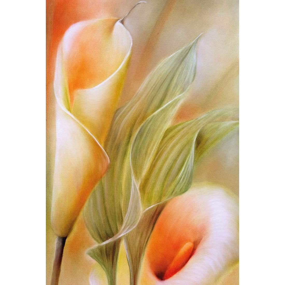 Calla by Annette Schmucker