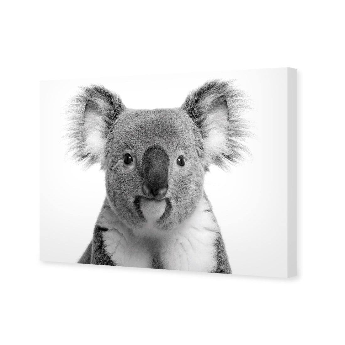 Korro Koala