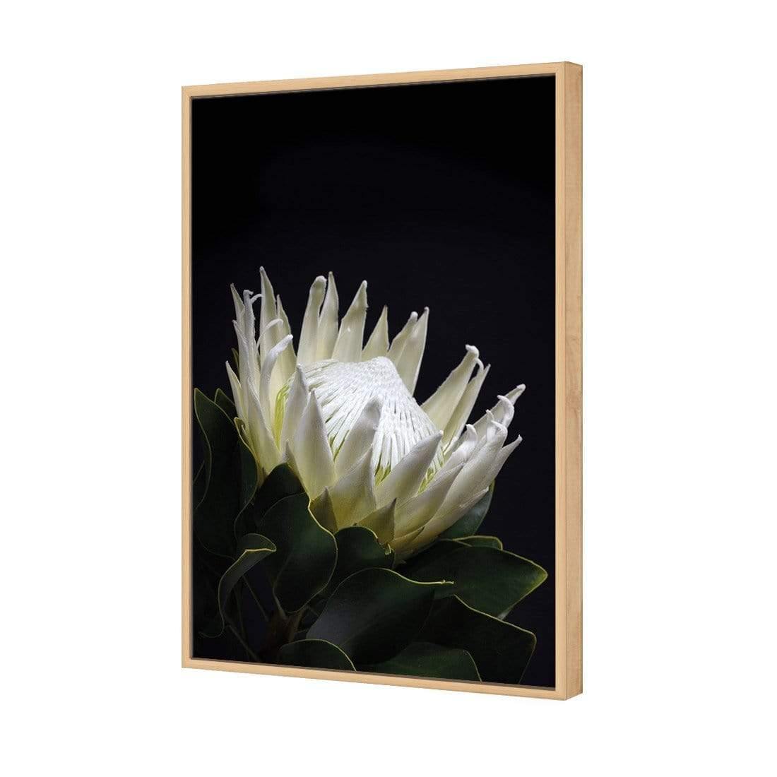 Protea in Darkness (Portrait) | Classic Canvas | Floating Frame | Oak