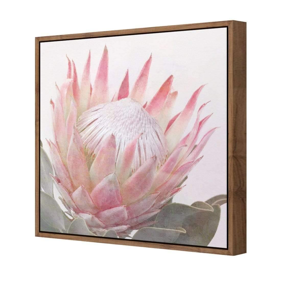 Dreamy Protea (Square)