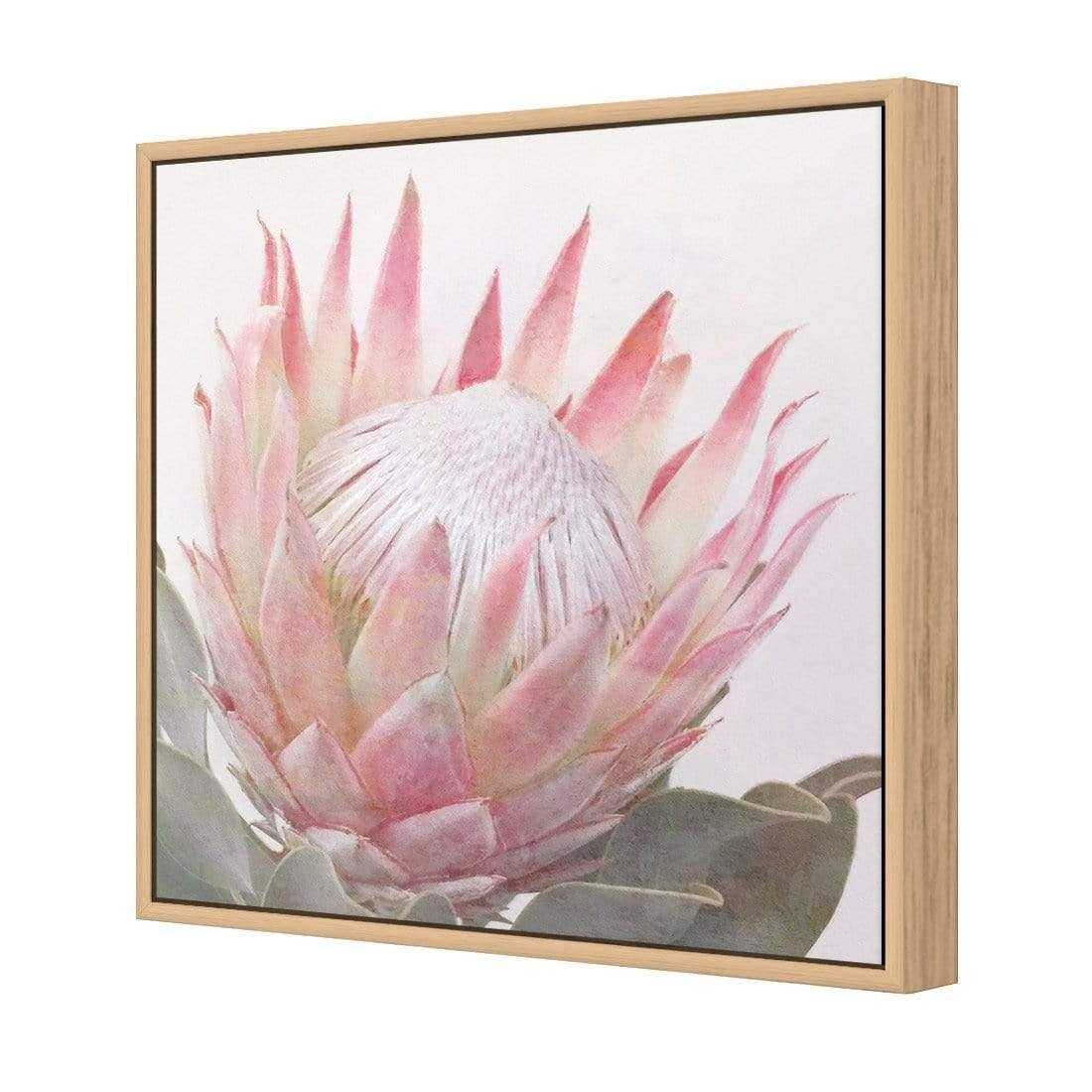 Dreamy Protea (Square)