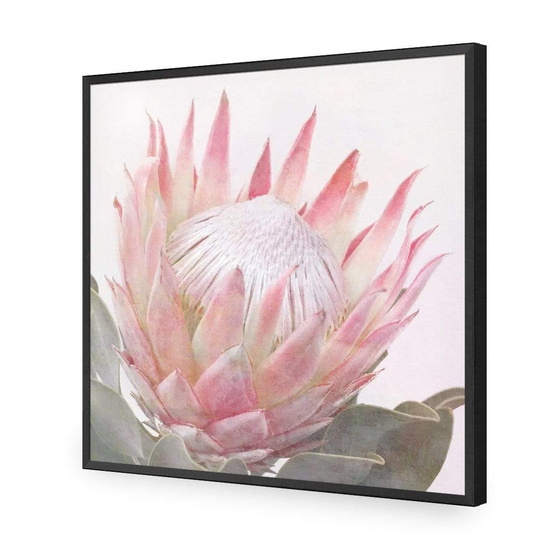 Dreamy Protea (Square)